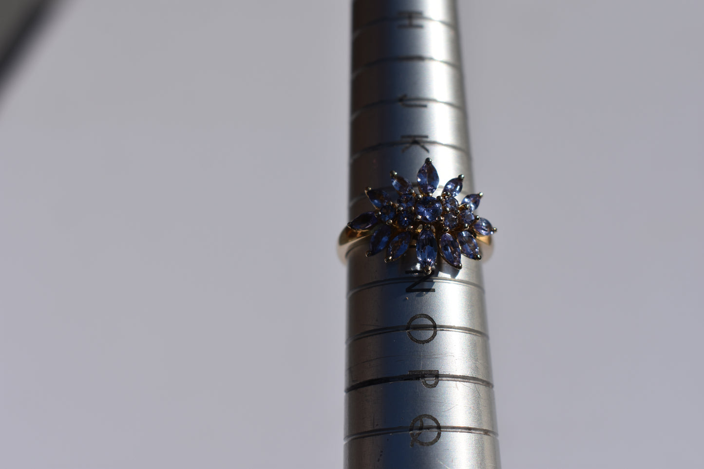 Spring in Bloom Ring